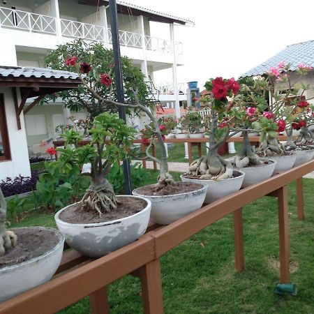 Brisamar Hotel Pousada Barra de Sao Miguel Luaran gambar